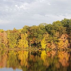 Meet your Posher, Rita